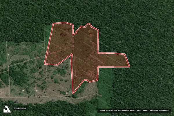Imagem de satélite de Infração da Flora em Tapauá - AM