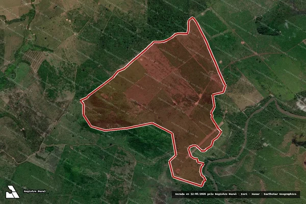 Imagem de satélite — Embargo IBAMA — Infração da Flora - São Félix do Xingu/PA