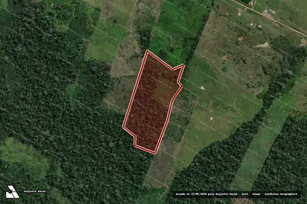 Imagem de satélite de Infração da Flora em Feijó - AC