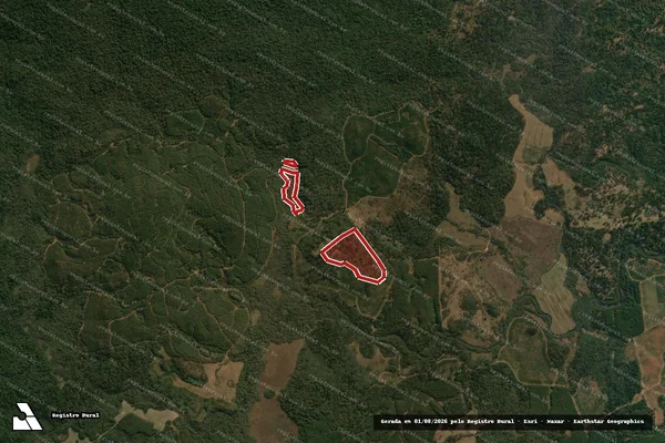Imagem de satélite de Infração da Flora em Inácio Martins - PR