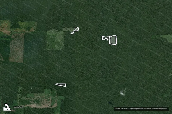 Imagem de satélite — Embargo IBAMA — Infração da Flora — Tapauá/AM