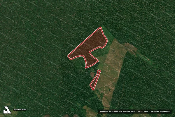 Imagem de satélite de Infração da Flora em Feijó - AC