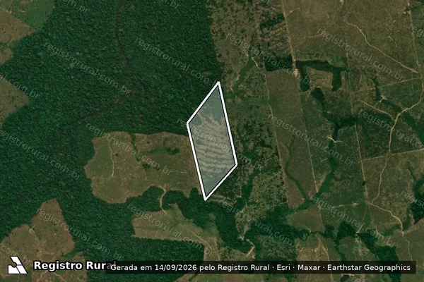 Imagem de satélite — Embargo IBAMA — Infração da Flora - Machadinho D'Oeste/RO