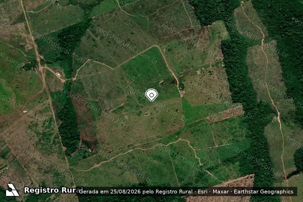 Imagem de satélite de Infração da Flora em Apuí - AM (marcador da localização)