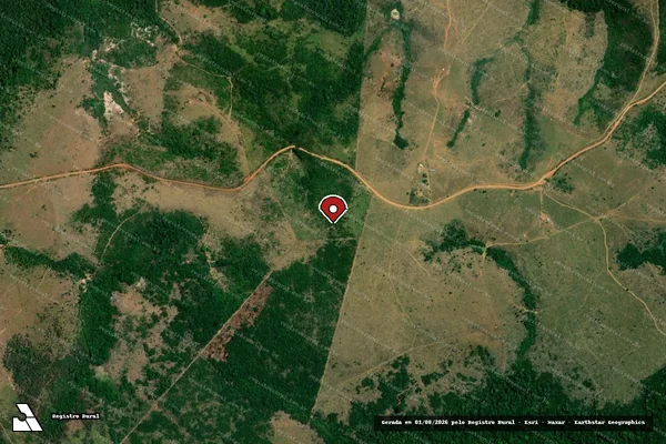 Imagem de satélite de Desmatamento em Apuí - AM (marcador da localização)