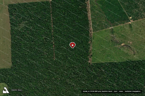 Imagem de satélite de Infração Ambiental em Nova Mamoré - RO (marcador da localização)