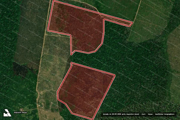 Imagem de satélite de Infração da Flora em Apuí - AM