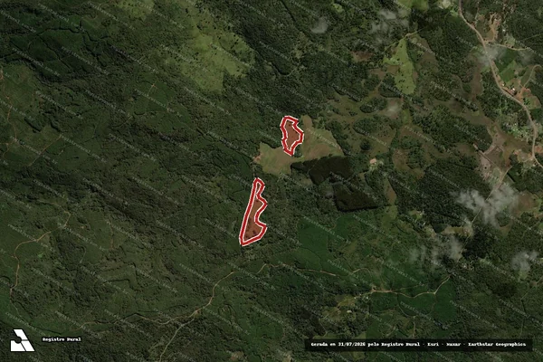 Imagem de satélite de Infração da Flora em Guarapuava - PR