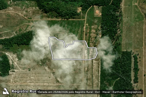 Imagem de satélite de Infração Ambiental em Vilhena - RO