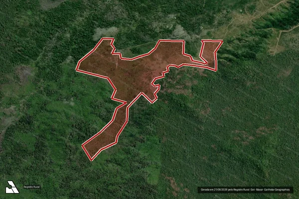 Imagem de satélite de Infração da Flora em São Félix do Xingu - PA