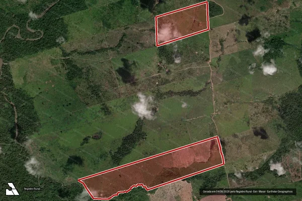 Imagem de satélite de Infração da Flora em Novo Progresso - PA