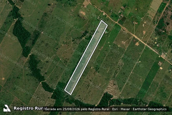 Imagem de satélite de Desmatamento em Porto Velho - RO