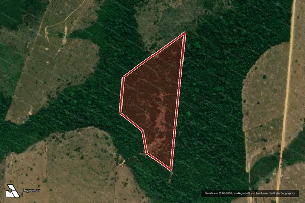 Imagem de satélite de Infração da Flora em Machadinho D'Oeste - RO