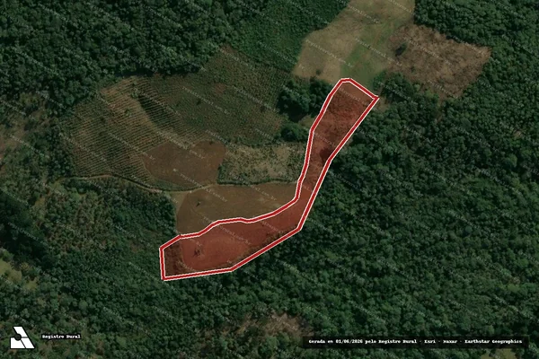 Imagem de satélite — Embargo IBAMA — Infração da Flora - Pinhão/PR