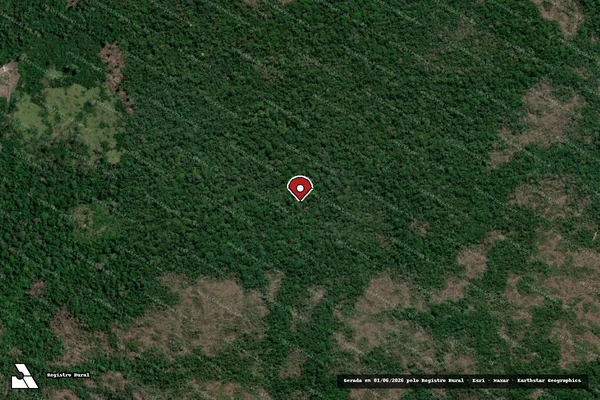 Imagem de satélite — Embargo IBAMA — Infração da Flora — Brasília/DF