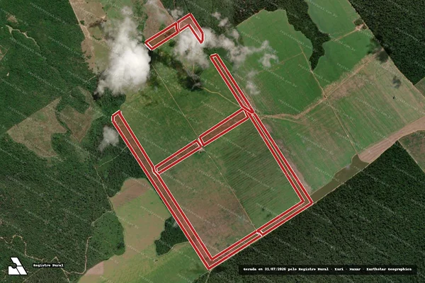 Imagem de satélite de Infração da Flora em Dom Eliseu - PA