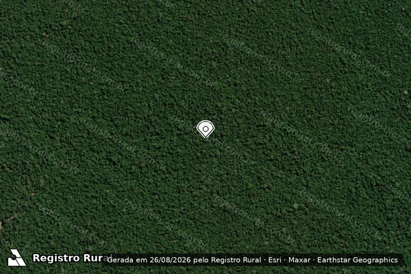 Imagem de satélite de Infração Ambiental em Colniza - MT (marcador da localização)
