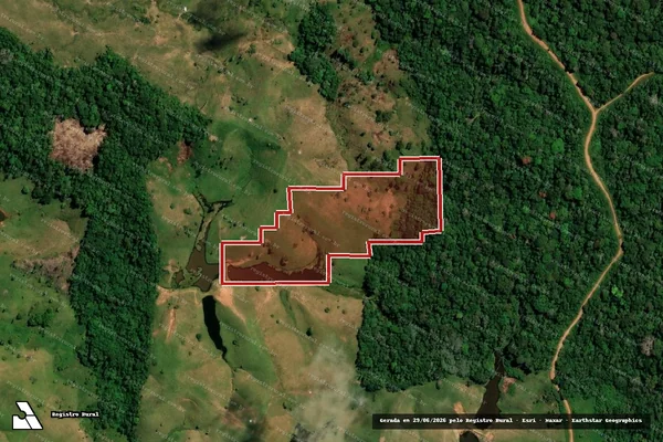 Imagem de satélite de Desmatamento em Tarauacá - AC