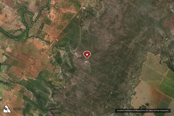 Imagem de satélite de Infração Ambiental em Francisco Dumont - MG (marcador da localização)