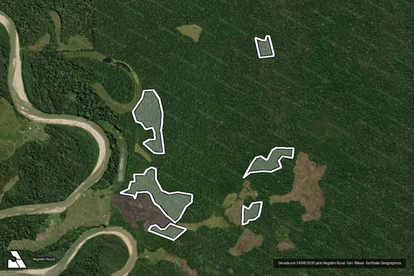 Imagem de satélite de Infração da Flora em Feijó - AC