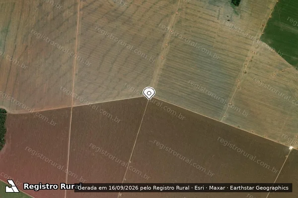 Imagem de satélite de Infração da Flora em Sinop - MT (marcador da localização)