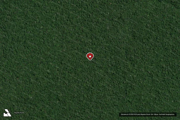 Imagem de satélite de Infração Ambiental em Portel - PA (marcador da localização)