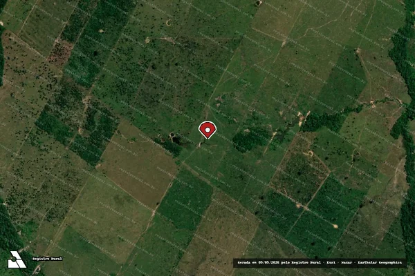Imagem de satélite — Embargo IBAMA — Infração da Flora - Ji-Paraná/RO