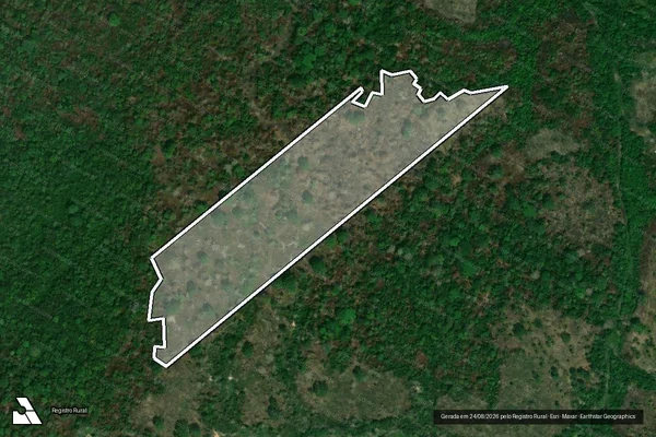 Imagem de satélite de Infração da Flora em Careiro da Várzea - AM