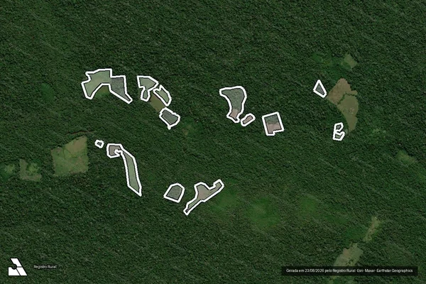 Imagem de satélite de Infração da Flora em Guajará - AM