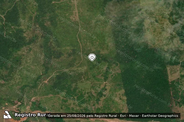 Imagem de satélite de Infração Ambiental em Rurópolis - PA (marcador da localização)