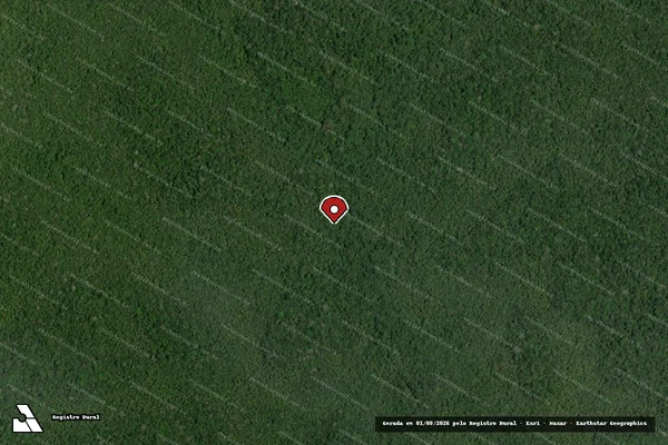 Imagem de satélite de Infração da Flora em Juiz de Fora - MG (marcador da localização)