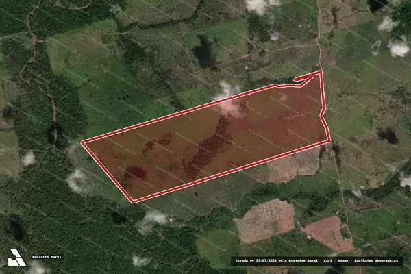Imagem de satélite de Infração da Flora em Novo Progresso - PA