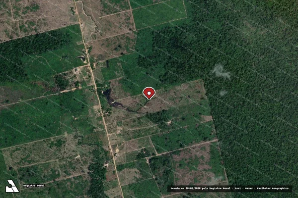 Imagem de satélite de Infração da Flora em Novo Progresso - PA (marcador da localização)