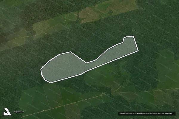 Imagem de satélite de Infração da Flora em Novo Progresso - PA