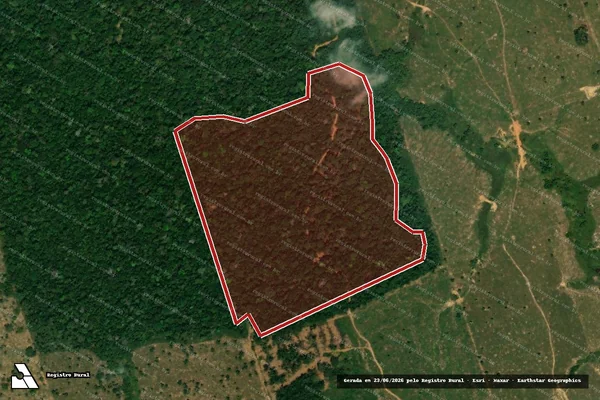 Imagem de satélite — Embargo IBAMA — Infração da Flora - Nova Mamoré/RO