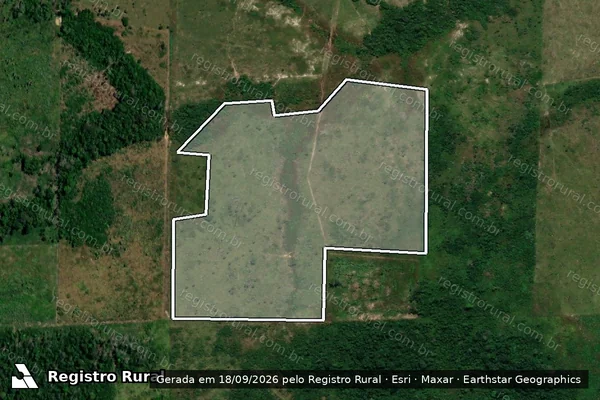 Imagem de satélite — Embargo IBAMA — Infração da Flora - Porto Velho/RO