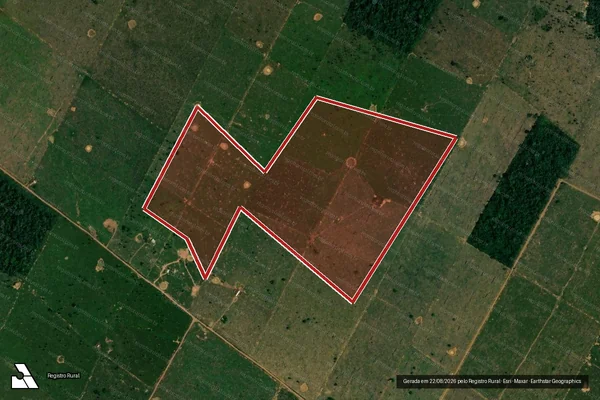 Imagem de satélite de Infração Ambiental em Porto Velho - RO