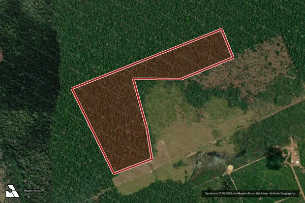 Imagem de satélite de Infração da Flora em Boca do Acre - AM