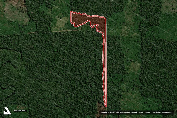 Imagem de satélite de Infração da Flora em Candeias do Jamari - RO