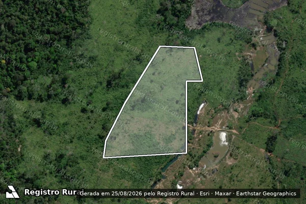 Imagem de satélite de Infração da Flora em Altamira - PA