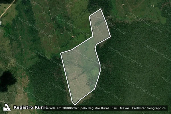 Imagem de satélite de Infração Ambiental em Apuí - AM
