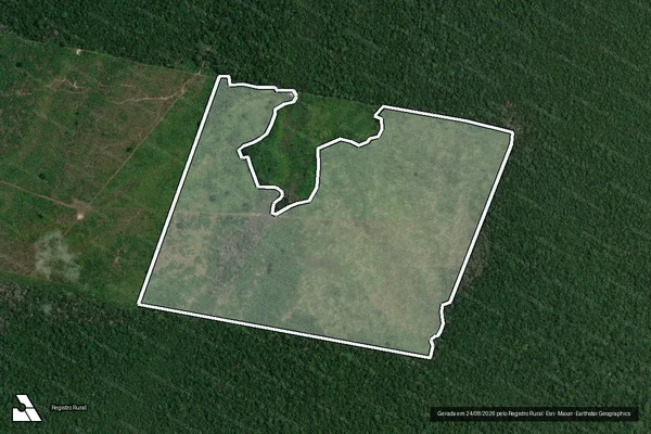 Imagem de satélite de Infração da Flora em Humaitá - AM