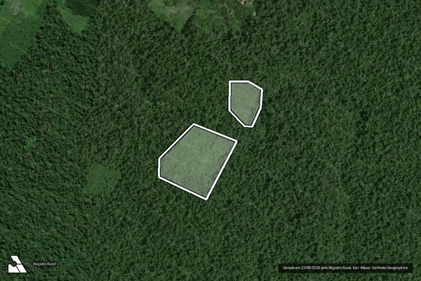 Imagem de satélite de Infração da Flora em Rorainópolis - RR