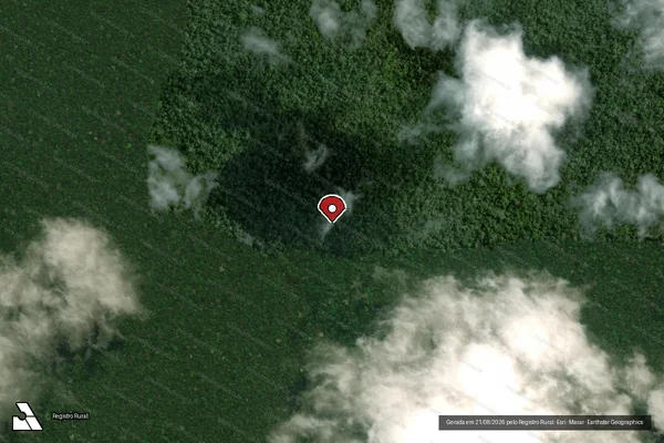Imagem de satélite de Infração da Flora em Tartarugalzinho - AP (marcador da localização)