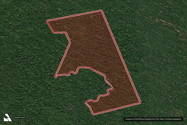Imagem de satélite de Infração Ambiental em Porto Velho - RO
