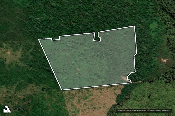 Imagem de satélite de Infração da Flora em São Félix do Xingu - PA