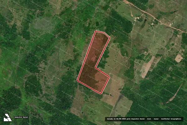 Imagem de satélite de Infração Ambiental em Mucajaí - RR