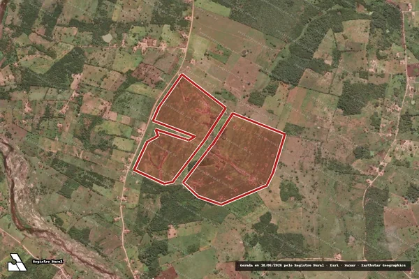 Imagem de satélite de Infração da Flora em Olivença - AL