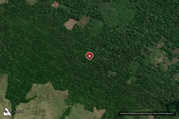 Imagem de satélite de Infração da Flora em Santarém - PA (marcador da localização)