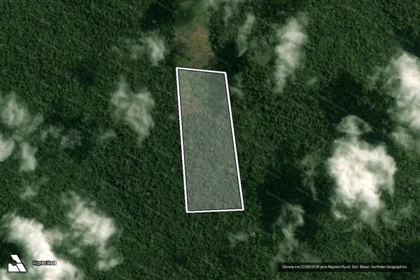 Imagem de satélite de Infração Ambiental em Portel - PA